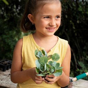 premio-ecovadis-platinum-proenfar-content2022